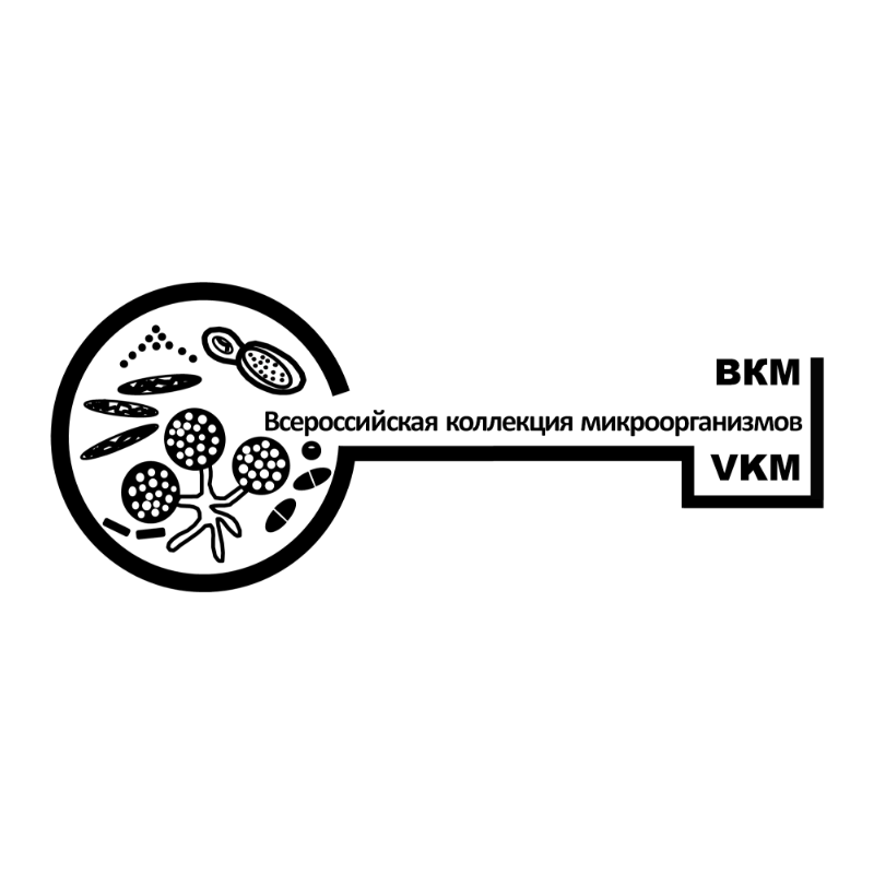 _VKM IBPM RAS