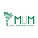 PT_ MUM_1