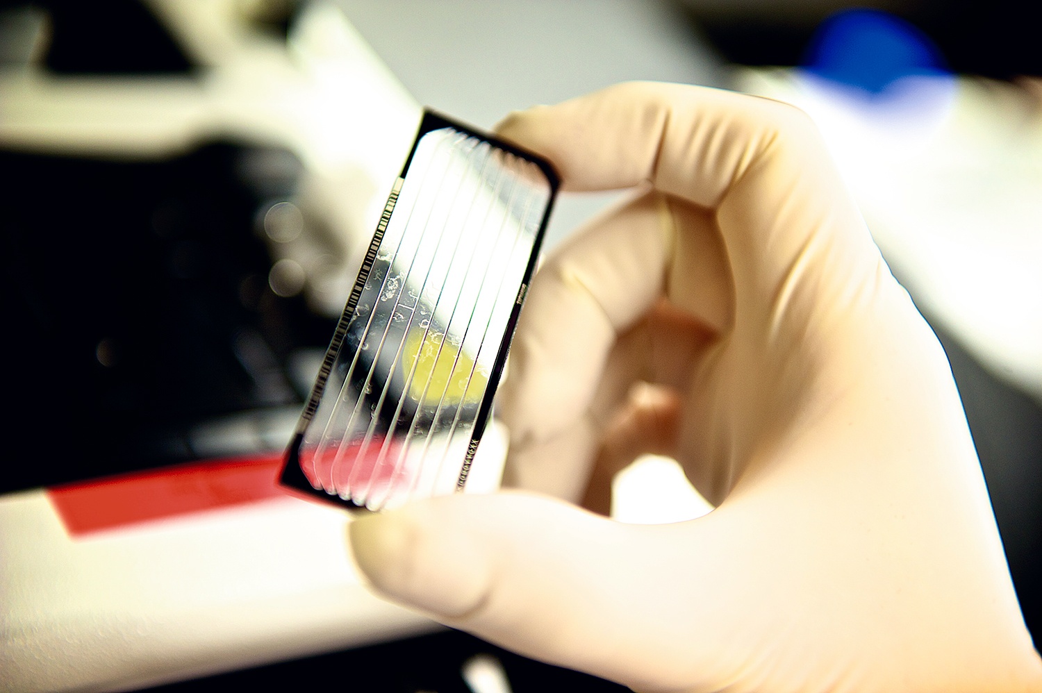 Hand-and-chip.jpg